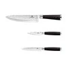 Rinkinys 3 NOŻY BERLINGER HAUS PRIMAL GLOSS BH-2487