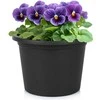 Vilde Plastikinis gėlių vazonas Juodas 20 cm - Sodo vazonas