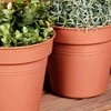 ProGarden Gėlių vazonai 17 cm, Ekologiški, 3 vnt.