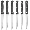 Carrefour Home Plieniniai steiko peiliai 21 cm 6 vnt.