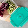 Excellent Houseware Vakuuminis indas maisto produktams 1,2 L