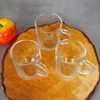 Excellent Houseware Praktinės stiklinės gėrimams su rankena, 230 ml, 3 vnt.