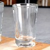 Galicja Stiklinės taurelės Vilde 40 ml, 6 vnt.