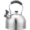 King Hoff Plieninis virdulys 2,5 L INDUKCINIS KINGHOFF KH-1859 Sidabrinis