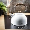 King Hoff Plieninis virdulys 2,5 L INDUKCINIS KINGHOFF KH-1860 Matinis Baltas