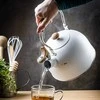 King Hoff Plieninis virdulys 2,5 L INDUKCINIS KINGHOFF KH-1860 Matinis Baltas