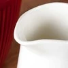 Orion Porceliano pieno ąsotis 200 ml baltas