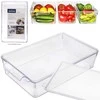 Aptel Orion šaldytuvo organizatorius su dangčiu 32,5x20x7,5 cm