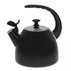 Plieninis virdulys 2,8L Juodas KLAUSBERG KB-7403