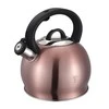 Plieninis virdulys 3,0 l BERLINGER HAUS I-ROSE BH-1077