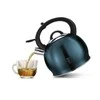 Plieninis virdulys 3,0 l BERLINGER HAUS AQUAMARINE BH-1078