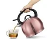 Plieninis virdulys 3,0 l BERLINGER HAUS I-ROSE BH-1077