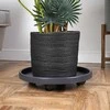 Nature Augalų padėklai su ratukais 35 cm