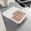 Orion Kiaušinių laikymo dėžutė 30 kiaušinių, BPA nemokama plastikas