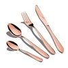 STALIO ĮRANKŲ RINKINYS 24 VNT. SATIN BERLINGER HAUS ROSE GOLD BH-2623A