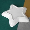 Vilde Porceliano lėkštė žvaigždė 18 cm