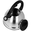 Virdulys plieno su gwizdkiem tradycyjny indukcija gaz 2.7L sidabrinė BRUNBESTE BB-1309