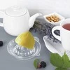 Sulčiaspaudė Orion Citrusų Spaudimo Aparatas - Stiklinis, Ergonomiškas