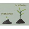 Bio-Organinės trąšos uogoms su Mikorize ir Neem'u, 1.75kg
