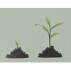 Bio-Organinės trąšos uogoms su Mikorize ir Neem'u, 1.75kg