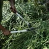 Profesionalios gyvatvorių žirklės FALKET, 75cm