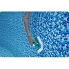 Bestway AquaScrub besisukantis baseino valymo šepetėlis 58786