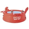 Amo Toys Intex | Happy Crab Easy Set Pool