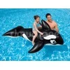 Intex Lil' Whale Ride On Swimming Board Juodas/Baltas