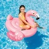 Pripučiamas žaislas INTEX Mega Flamingas Island 142x137x97cm rožinis 57558NP