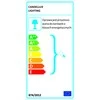Candellux Sieninis šviestuvas 5591-70814