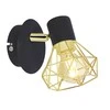 Candellux Candel Sieninis šviestuvas 5591-62598
