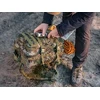Kuprinė ekspedicija 16" Tracer Evo Camo 25L
