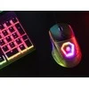 Pelė Tracer GameZone NEON USB