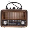 Radio FM radijas radijas TRACER RTX200