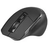 TRACER Cozy RF 2.4 GHz pelė