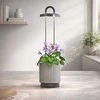 „Click Grow“ „Click and Grow“ – „HydroVase“ – pilka