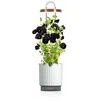Click And Grow „Click &amp; Grow HydroVase“ – auginkite šviežius augalus patalpose ištisus metus su LED apšvietimu ir savaiminio laistymo sistema – balta