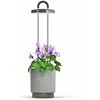Click And Grow Click &amp; Grow HydroVase - Pilkas