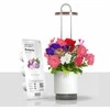 Click And Grow „Click &amp; Grow HydroVase“ – auginkite šviežius augalus patalpose ištisus metus su LED apšvietimu ir savaiminio laistymo sistema – balta
