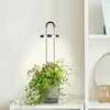 Click And Grow Click &amp; Grow HydroVase - Pilkas