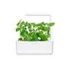 Click & Grow sėklos išmaniajam vazonui - katžolė, 3 vnt.