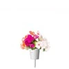 Click and Grow Smart Home 3 vnt. papildymas - sprigių sėklos (Busy Lizzie)