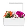 Click and Grow Smart Home 3 vnt. papildymas - sprigių sėklos (Busy Lizzie)