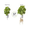Click and Grow Pro Plant Cups 9 pakuotė