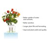 Click and Grow Pro Plant Cups 9 pakuotė