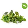 „Click &amp; Grow“ augalų ankštys, itališkų žolelių mišinys, 9 vnt.
