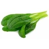 Click & Grow Smart Garden pildymas Mibuna 3vnt