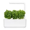 Click and Grow 3 vnt. papildymas - nykštukinio baziliko sėklos (Dwarf basil)