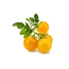 Click and Grow 3 vnt. papildymas - geltonieji pomidorai