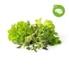 Click & Grow sėklos išmaniajam vazonui - Žolelės mėsai, 9vnt.